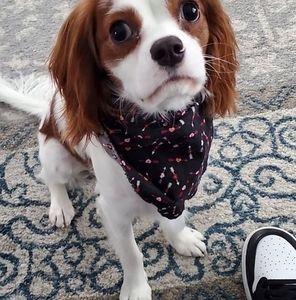 Meet your Posher, Ethan